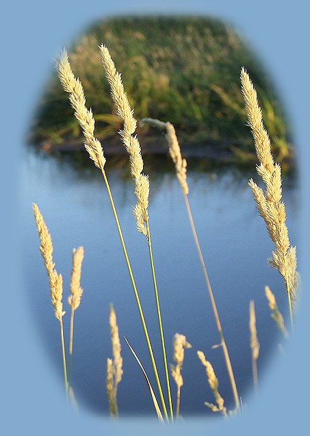 inspirational writings, spiritual inspiration, thoughts for the day, poetry, prose, stories: higher self, personal growth, spiritual encounters, out of body experiences and white light experiences, from Brad Kalita, founder of gathering light ... a retreat located near crater lake national park in southern oregon.