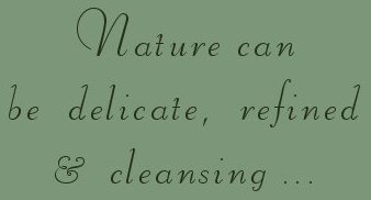 nature can be delicate, refined and cleansing ... photographs and inspirational writings from the harbors of light collection: inspirational writings, spiritual inspiration, thoughts for the day, poetry, prose, stories: higher self, personal growth, spiritual encounters, out of body experiences and white light experiences, from Brad Kalita, founder of gathering light ... a retreat located near crater lake national park in southern oregon.