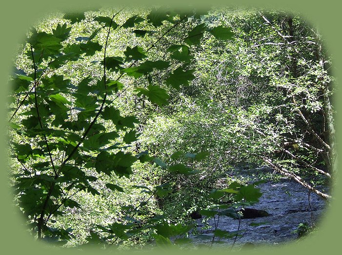 inspirational writings, spiritual inspiration, thoughts for the day, poetry, prose, stories: higher self, personal growth, spiritual encounters, out of body experiences and white light experiences, from Brad Kalita, founder of gathering light ... a retreat located near crater lake national park in southern oregon.