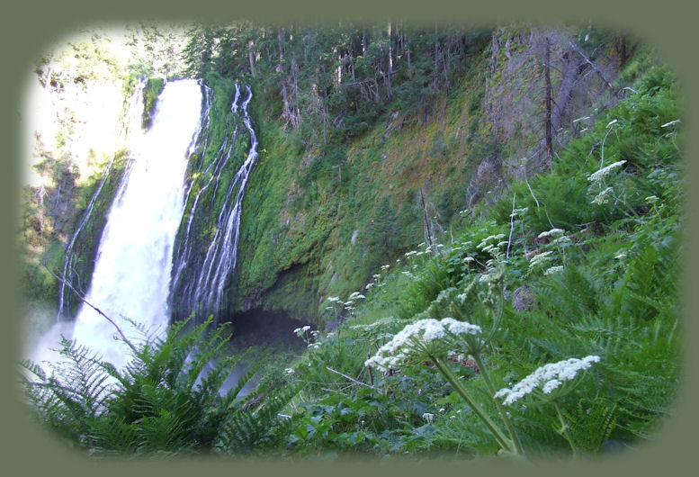 inspirational writings, spiritual inspiration, thoughts for the day, poetry, prose, stories: higher self, personal growth, spiritual encounters, out of body experiences and white light experiences, from Brad Kalita, founder of gathering light ... a retreat located near crater lake national park in southern oregon.