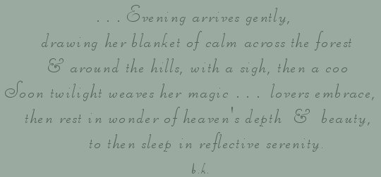 evening arrives gently, drawing her blanket of calm across the forest and around the hills with a sigh then a coo. Soon twilight weaves her magic ... lovers embrace, then rest in wonder of heaven's depth and beauty to then sleep in reflective beauty. - bk, author of gathering light ... a collection of
