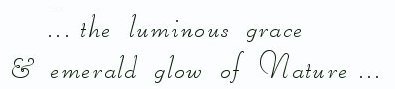 the luminous grace and emerald glow of nature ... Is the way to heaven long? No but it is deep. Is the road to salvation wide? No, but it is inclusive. Is the way to heaven high? No, but it is comprehensive. photographs and inspirational writings from the harbors of light collection: inspirational writings, spiritual inspiration, thoughts for the day, poetry, prose, stories: higher self, personal growth, spiritual encounters, out of body experiences and white light experiences, from Brad Kalita, founder of gathering light ... a retreat located near crater lake national park in southern oregon.