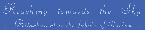 reaching towards the sky ...attachment is the fabric of illusion ... photographs and inspirational writings from the harbors of light collection: inspirational writings, spiritual inspiration, thoughts for the day, poetry, prose, stories: higher self, personal growth, spiritual encounters, out of body experiences and white light experiences, from Brad Kalita, founder of gathering light ... a retreat located near crater lake national park in southern oregon.