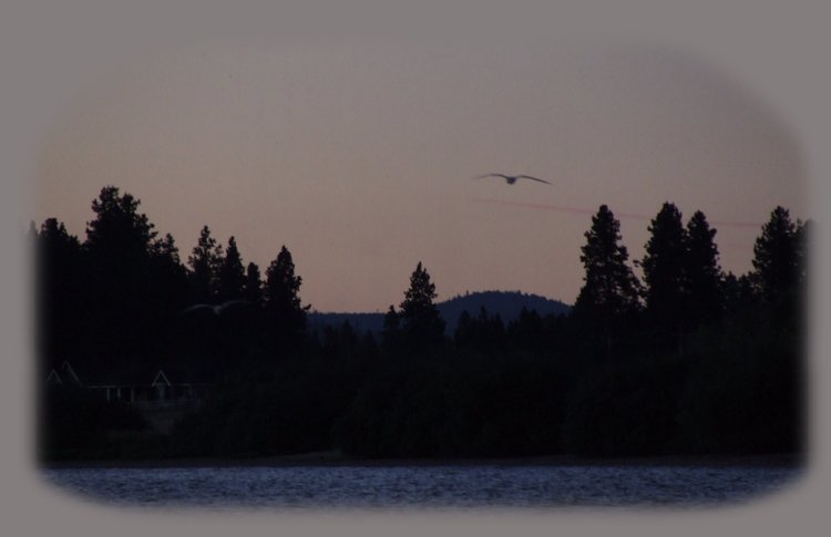 inspirational writings, spiritual inspiration, thoughts for the day, poetry, prose, stories: higher self, personal growth, spiritual encounters, out of body experiences and white light experiences, from Brad Kalita, founder of gathering light ... a retreat located near crater lake national park in southern oregon.