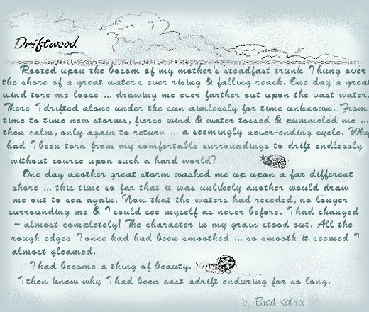 Driftwood ... Rooted upon the bosom of my mother's steadfast trunk I hung over the shoreof a great water's ever rising and falling reach. One day a great wind tore me loose ... drawing me ever farther out upon the vast water. There I drifted alone under the sun aimlessly for time unknown. From time to time new storms, fierce wind and water tossed and pummeled me ... then calm, only gain to return ... a seemingly never-ending cycle. Why  had I been torn from my comfortable surroundings to drift endlessly without course upon such a hard world?  One day a great storm washed me up upon a far different ... this time so far that it was unlikely another would draw me out to sea again. Now that the waters had receded, no longer surrounding me and I could see myself as never before. I had changed - almost completely! The character in my grain stood out. All the rough edges I once had been smoothed ... so smooth it seemed I almost gleamed. I had become a thing of beauty. I then knew why I had been cast adrift, enduring for so long. By Brad Kalita.