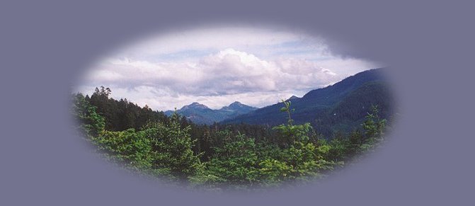 a mountain path in the cascades of oregon. inspirational writings, spiritual inspiration, thoughts for the day, poetry, prose: higher self, personal growth, spiritual encounters, out of body experiences and white light experiences, encounters from Brad Kalita, founder of gathering light ... a retreat located near crater lake national park in southern oregon.