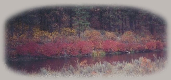 River Meditation. inspirational writings, spiritual inspiration, thoughts for the day, poetry, prose: higher self, personal growth, spiritual encounters, out of body experiences and white light experiences, encounters from Brad Kalita, founder of gathering light ... a retreat located near crater lake national park in southern oregon.