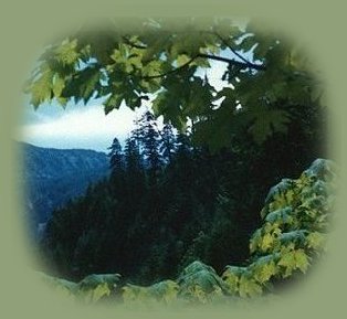 inspirational writings, spiritual inspiration, thoughts for the day, poetry, prose, stories: higher self, personal growth, spiritual encounters, out of body experiences and white light experiences, from Brad Kalita, founder of gathering light ... a retreat located near crater lake national park in southern oregon.