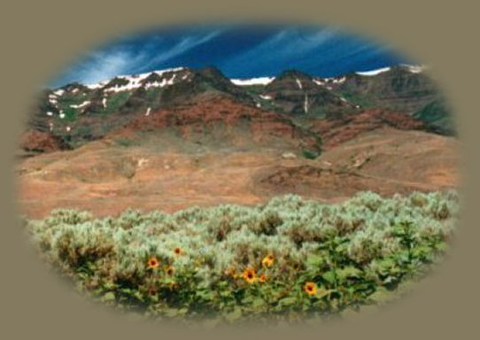 steens mountain, oregon ... inspirational writings, spiritual inspiration, thoughts for the day, poetry, prose, stories: higher self, personal growth, spiritual encounters, out of body experiences and white light experiences, from Brad Kalita, founder of gathering light ... a retreat located near crater lake national park in southern oregon.