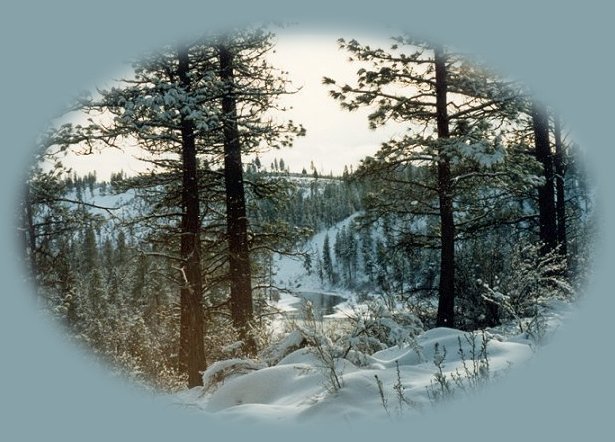 snowflakes from harbors of light, a collection of inspirational writings, spiritual inspiration, thoughts for the day, poetry, prose, stories: higher self, personal growth, spiritual encounters, out of body experiences and white light experiences, from Brad Kalita, founder of gathering light ... a retreat located near crater lake national park in southern oregon.