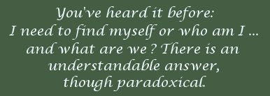 You've heard it all before; I need to find myself or who am I ... and who are we? There is an understandable answer, though paradoxical.