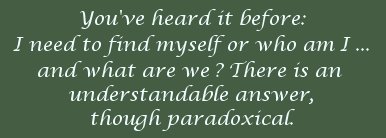 You've heard it all before; I need to find myself or who am I ... and who are we? There is an understandable answer, though paradoxical.